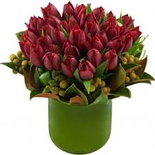 tulipans2